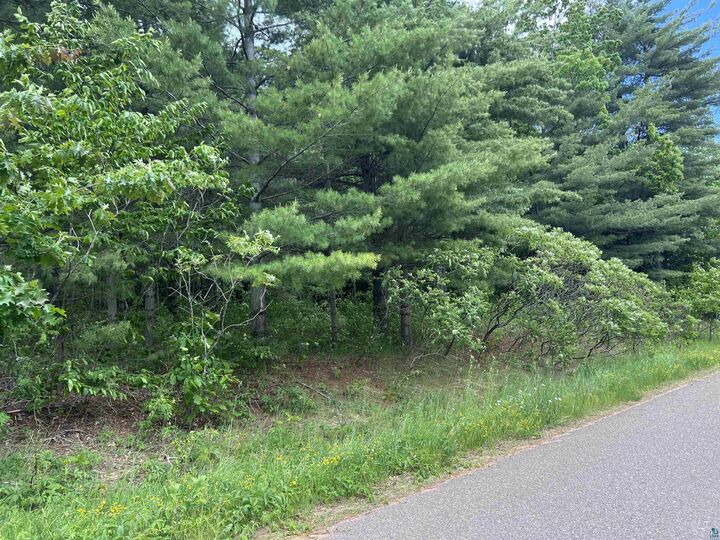 Property Photo: Xxx Rice Ave WI 54814