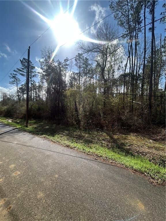 Property Photo:  Tbd Chapmen Rd Road  LA 70446 
