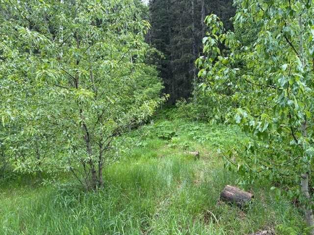 229 Mountain Lion Drive — photo 1