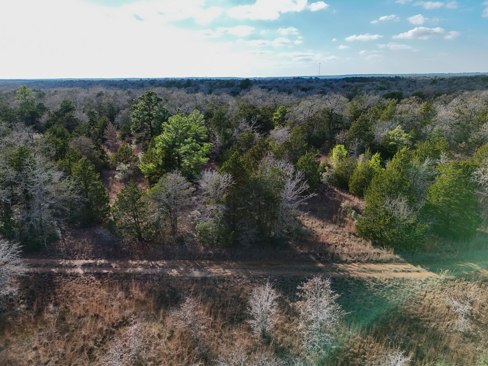 Property Photo: Lot 11 Antioch Road TX 78659