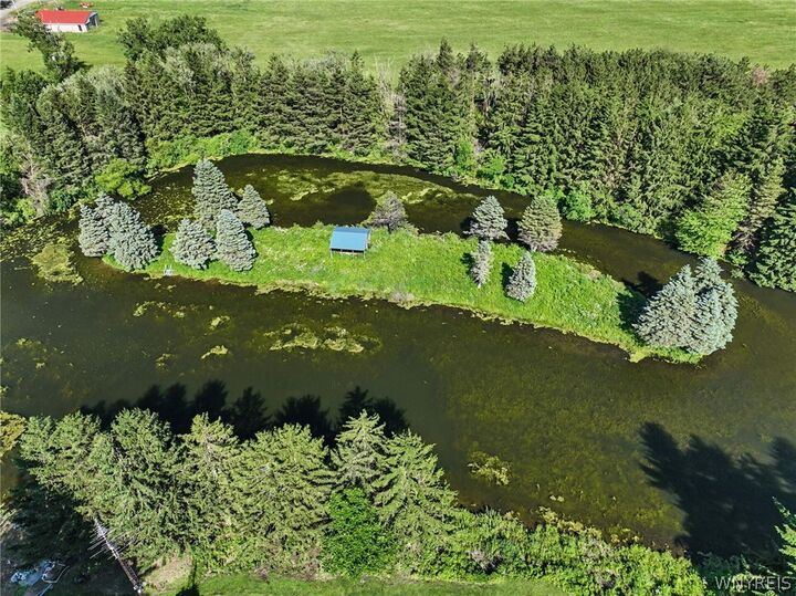 Property Photo:  11288 Newell Road  NY 14048 