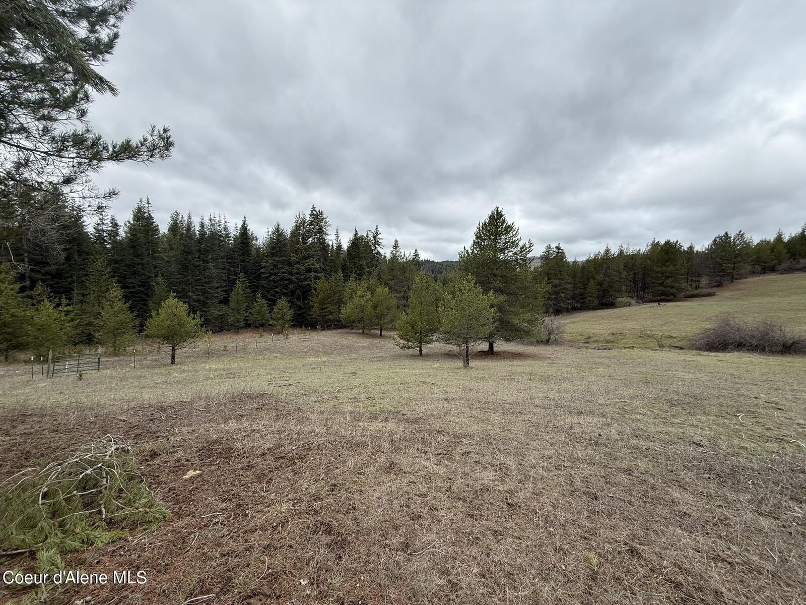Property Photo: Parcel 200 Owl Creek Rd. Ln ID 83861