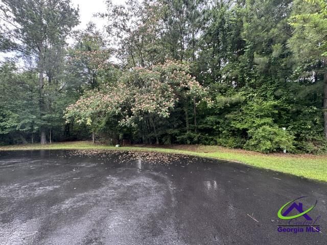 Property Photo:  176 Waters Pointe  GA 31052 