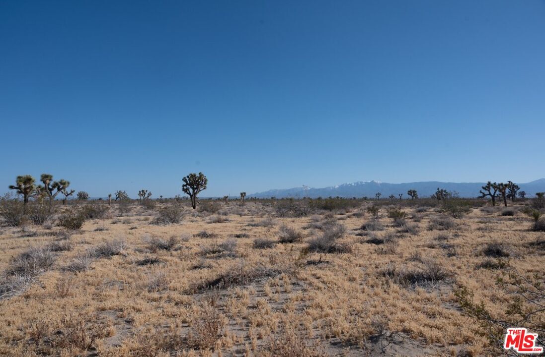 Property Photo:  0 Middleton  CA 92301 