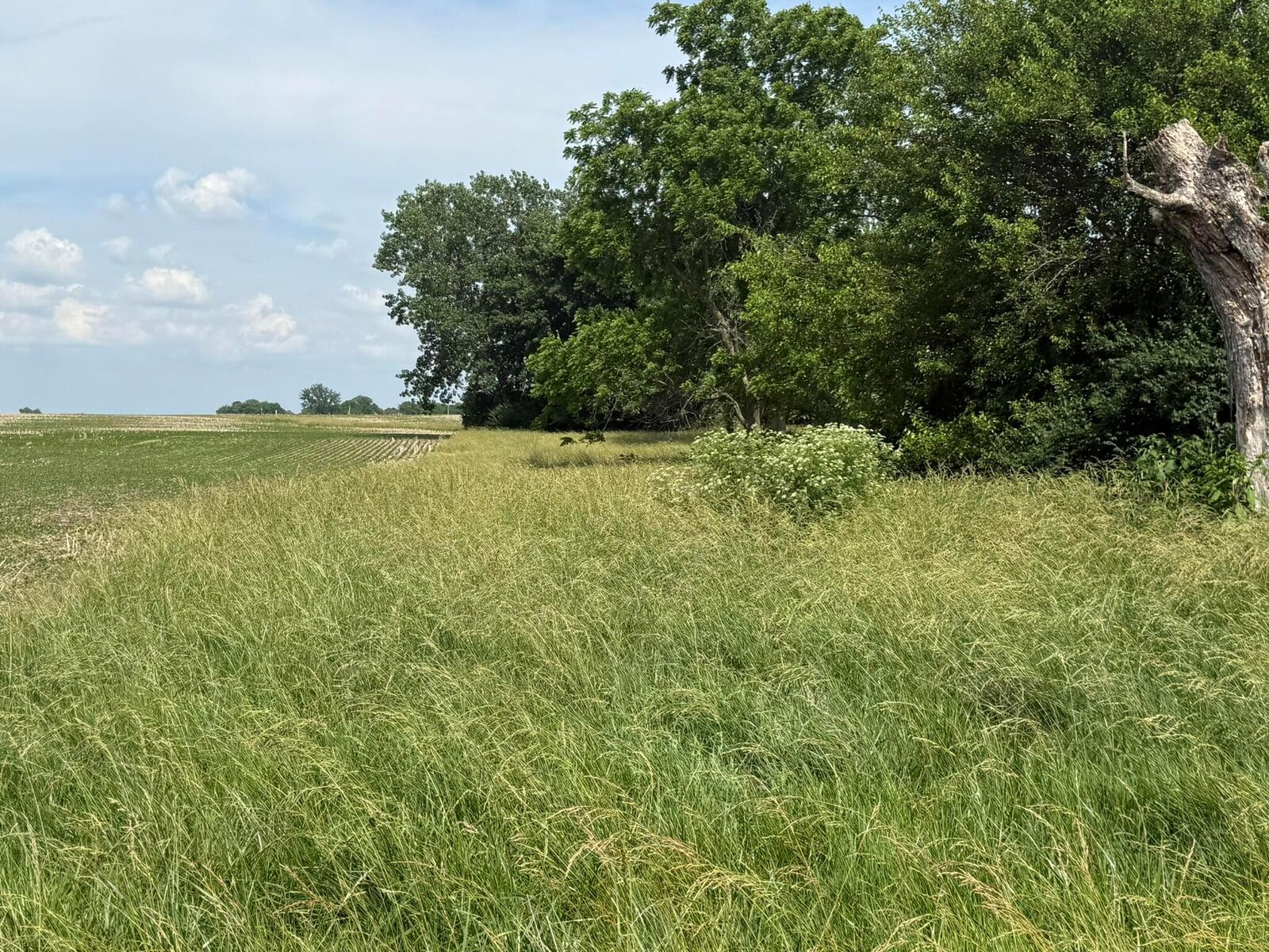 Property Photo:  498 Junk Road  OH 43115 