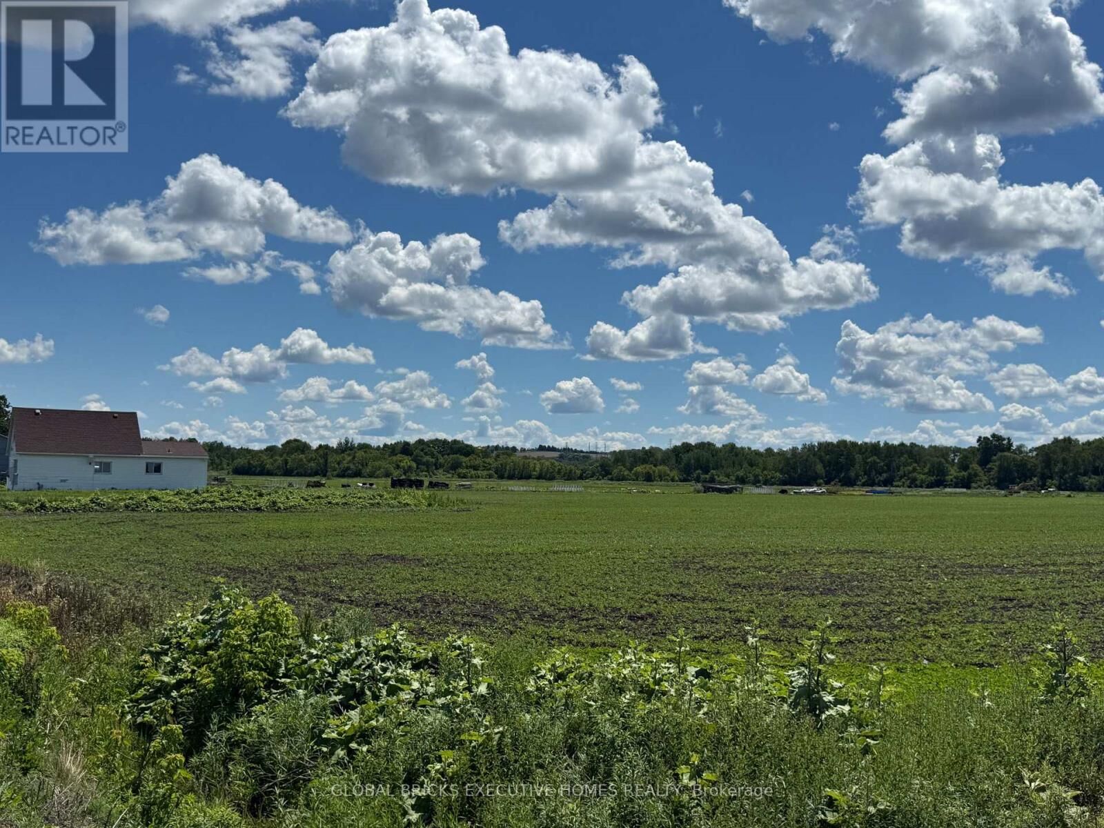 Property Photo: 325 King Street ON L3Y 4V9