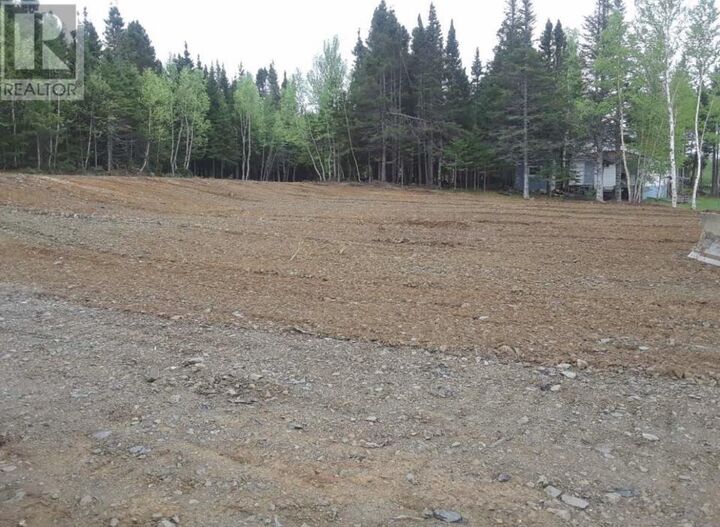 Property Photo:  6 Twenty Mile Road  NL A0H 1C0 