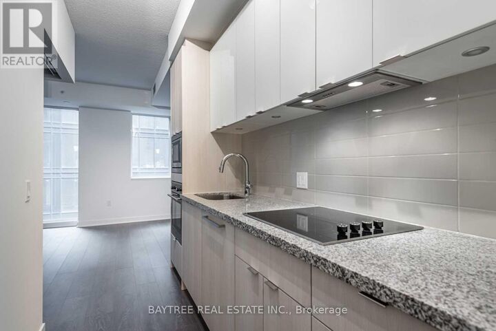 Property Photo:  115 Blue Jays Way 703  ON M5V 3T3 