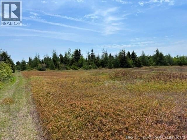 Property Photo:  305 Haut-Lameque  NB E8T 3M9 