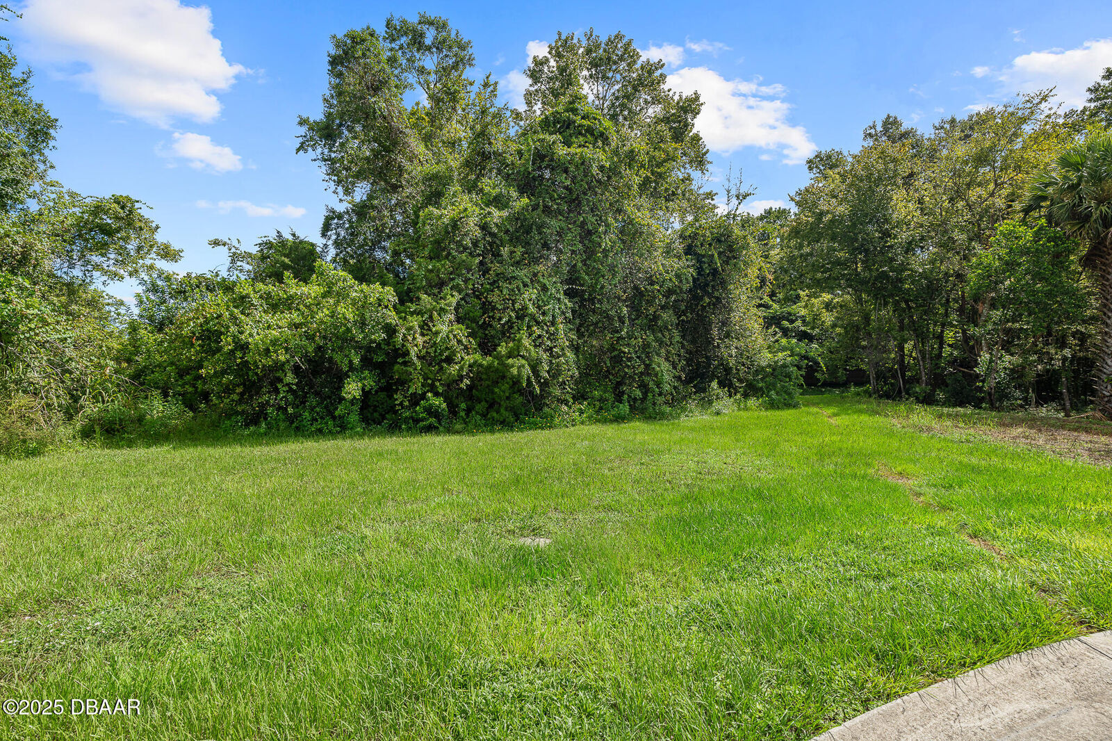 Property Photo:  1082 Yaupon Street  FL 32117 