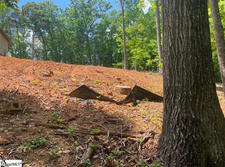 Property Photo: 00 Sweet Gum Drive Lot 28 SC 29693