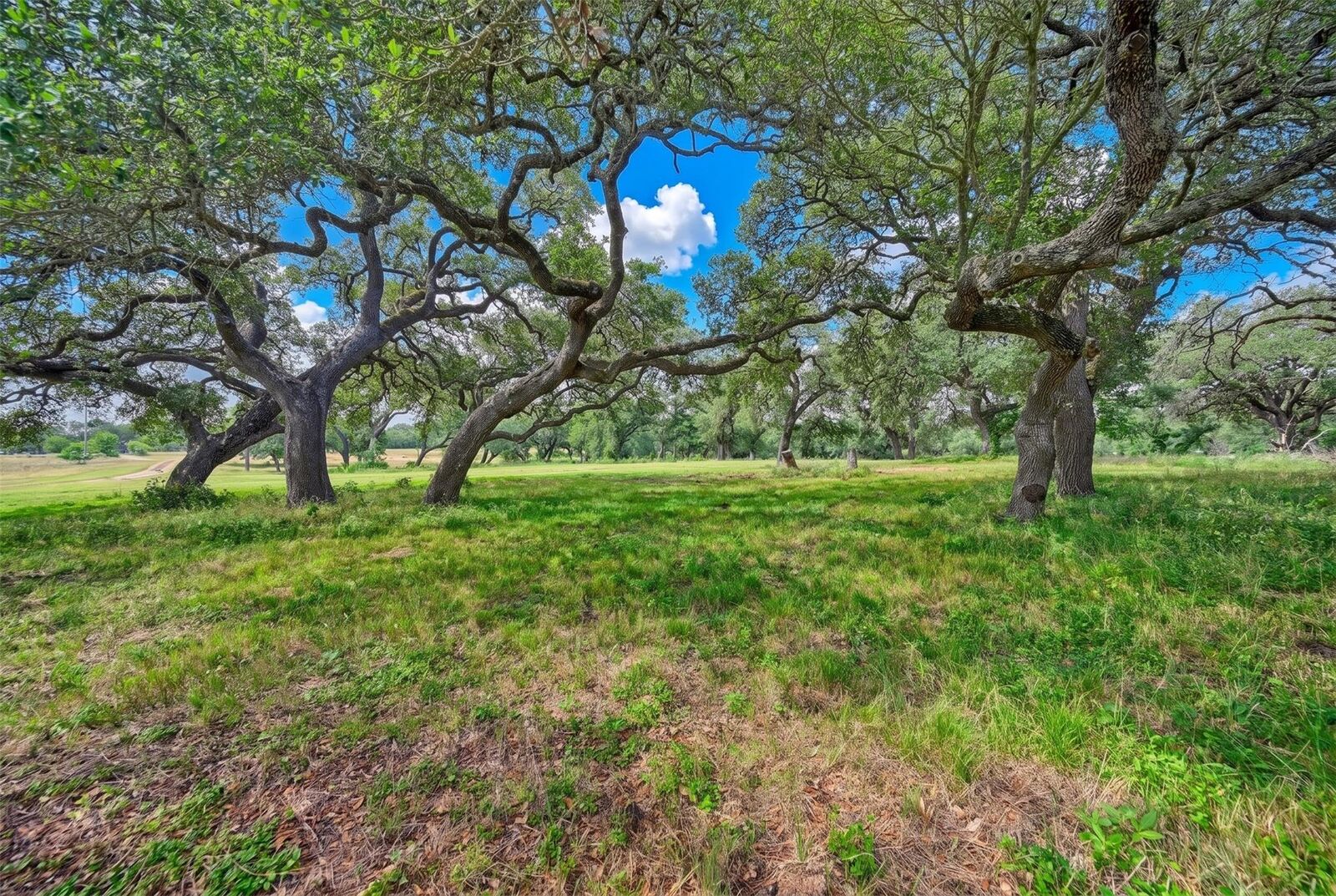 Property Photo: 10100 Harmon School Road TX 77835
