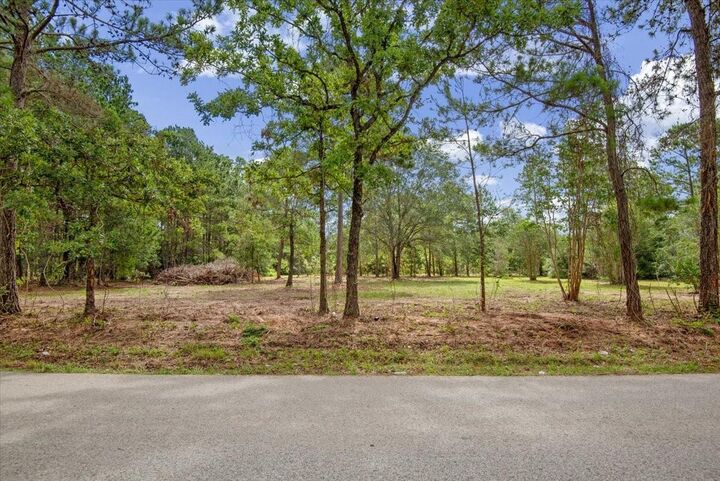 Property Photo:  Tbd Lot 5 County Road 302  TX 77363 