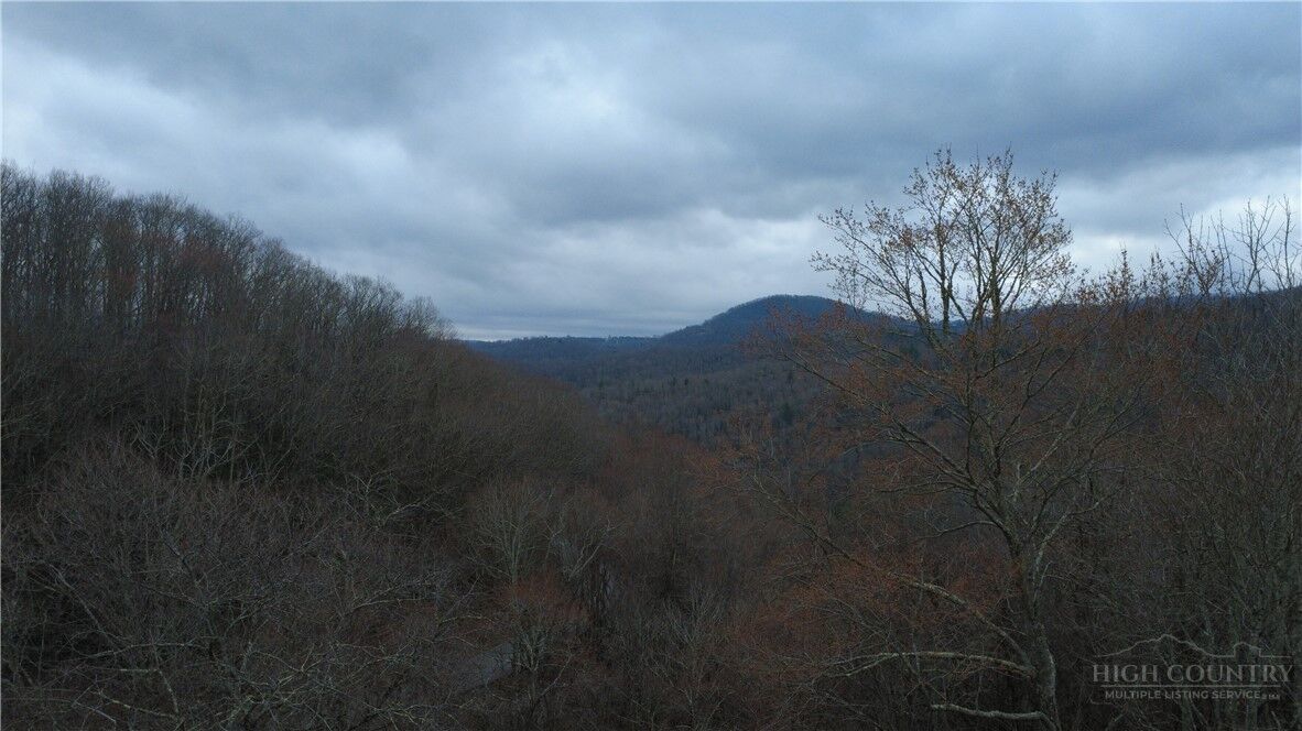 Property Photo: Tbd Nc 194 Highway NC 28604