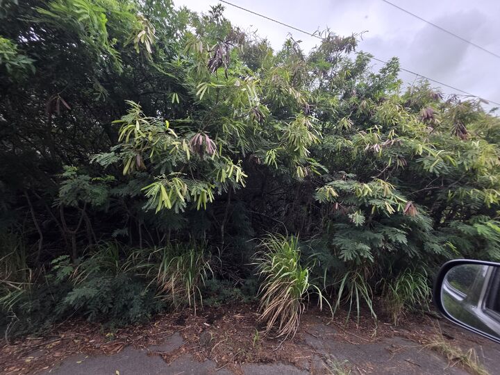 Property Photo:  Mauka St  HI 96772 