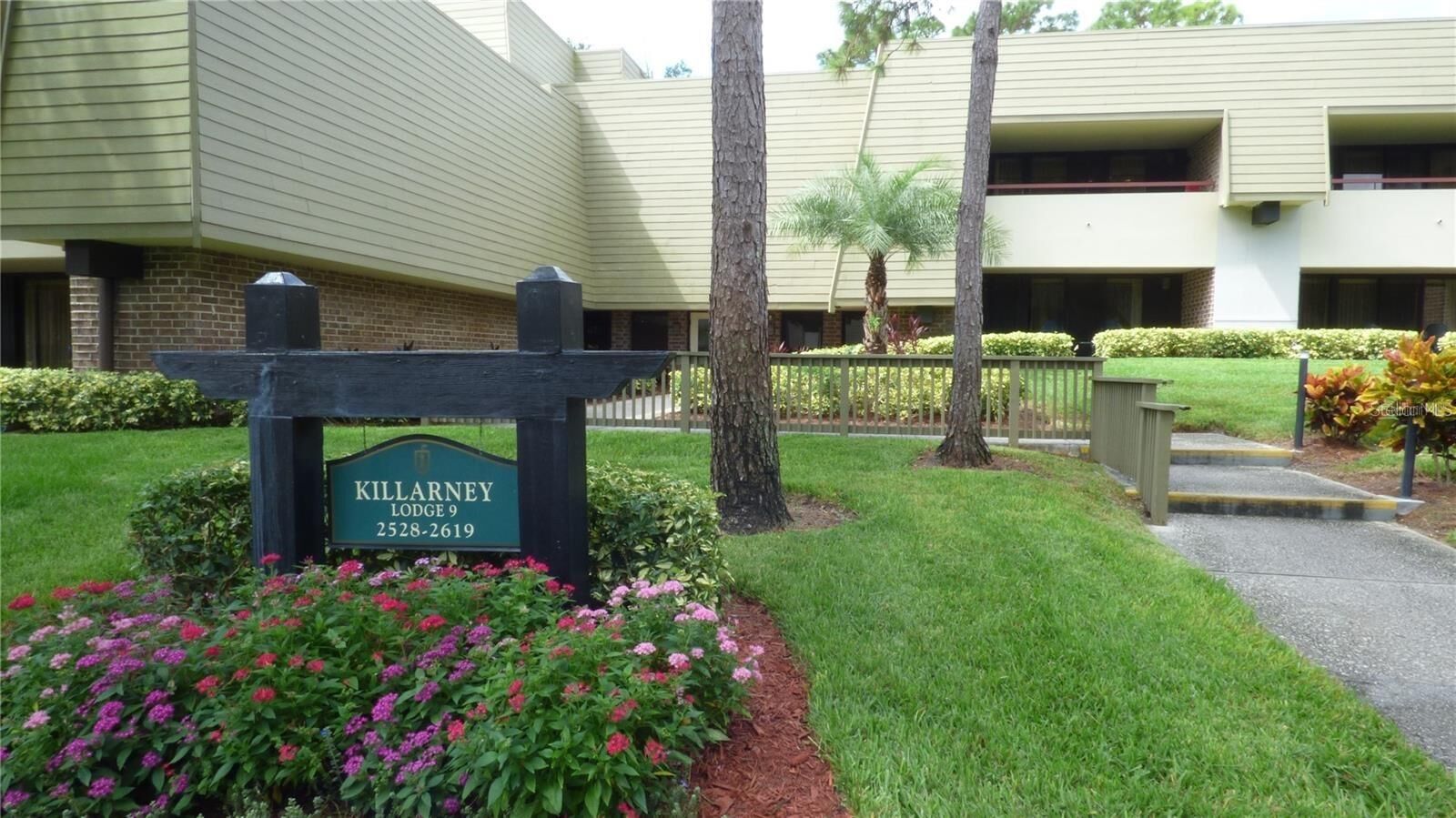 Property Photo: 36750 US Highway 19 N 9-303 FL 34684