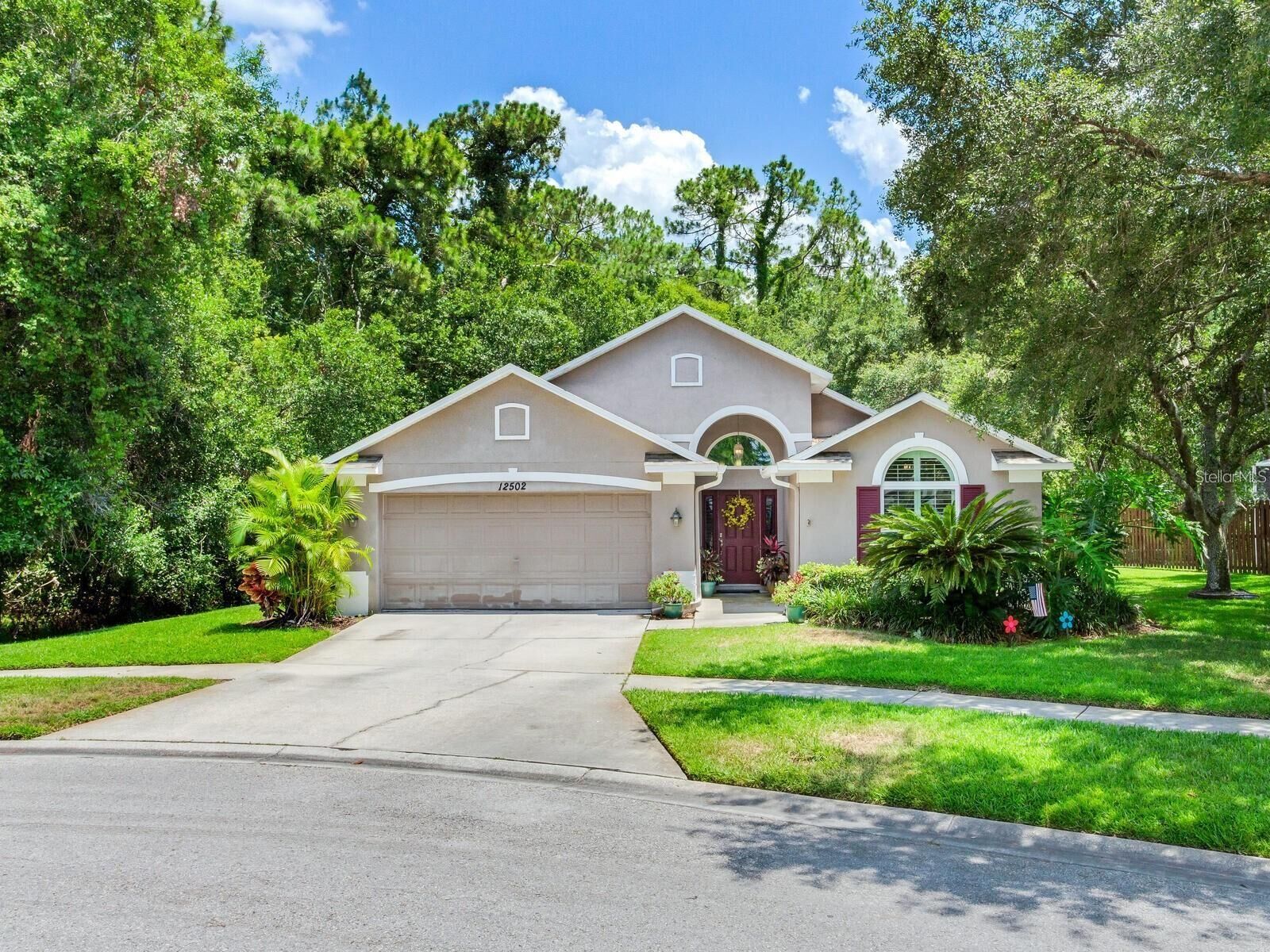 Property Photo: 12502 Blazing Star Drive FL 33626