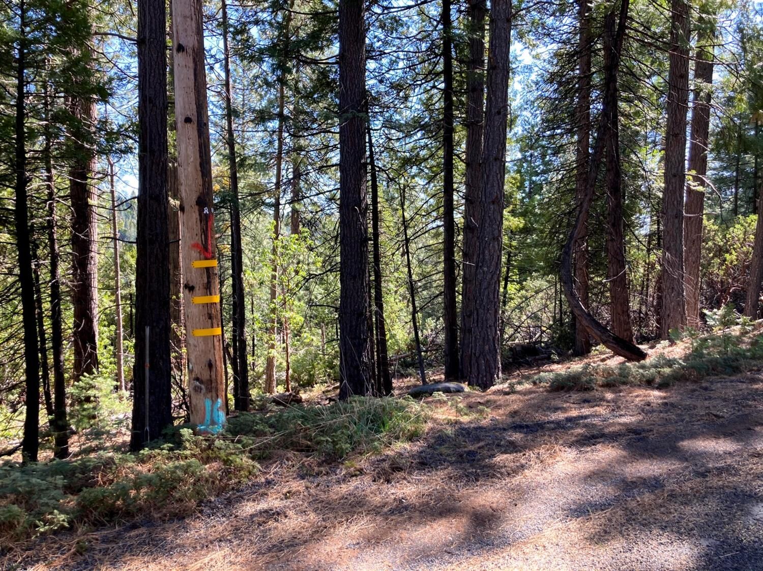 Property Photo:  26584 Spring Road  CA 95666 