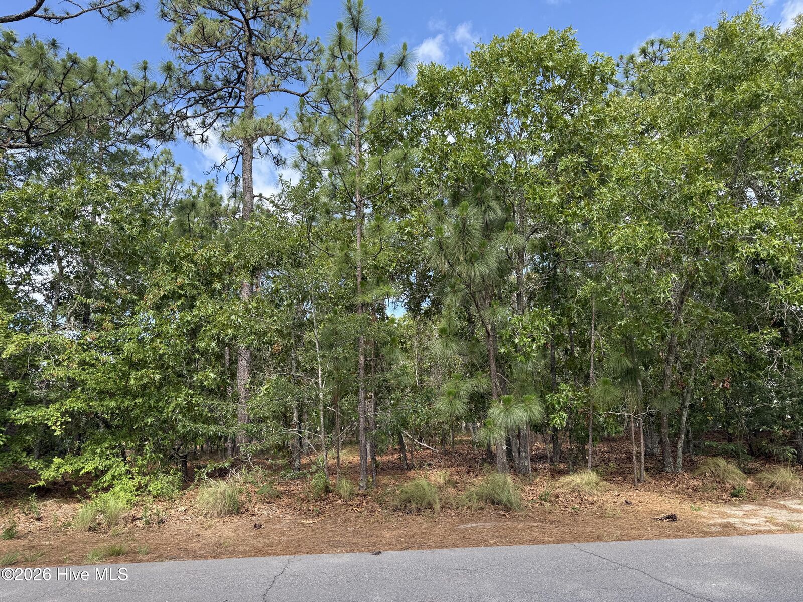 Property Photo:  13 Kahkwa Trail  NC 28374 