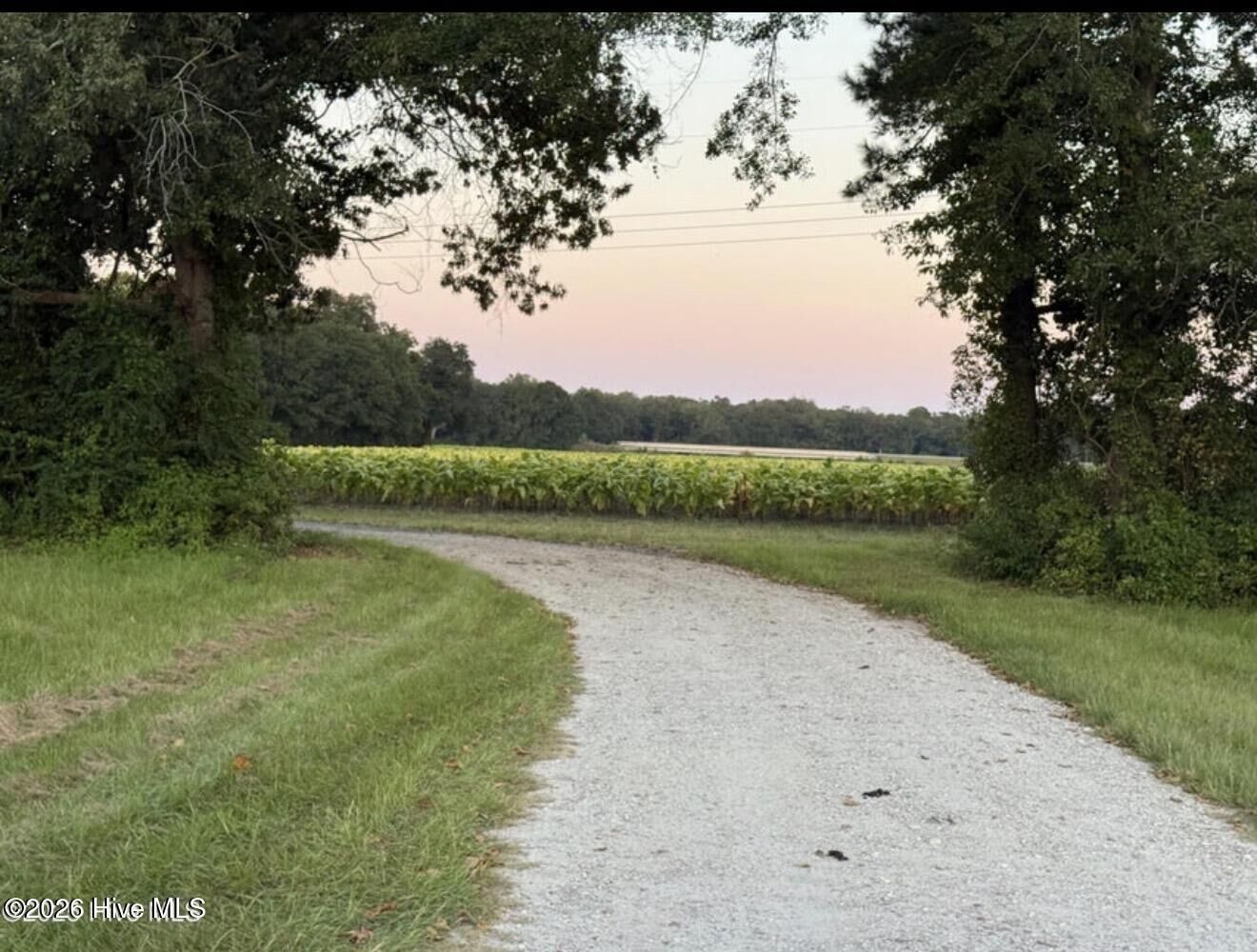 Property Photo:  1337 Off SR 1337 On  NC 28573 