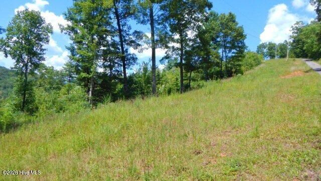 Property Photo:  Lot 16 Tyler Ridge  NC 28906 