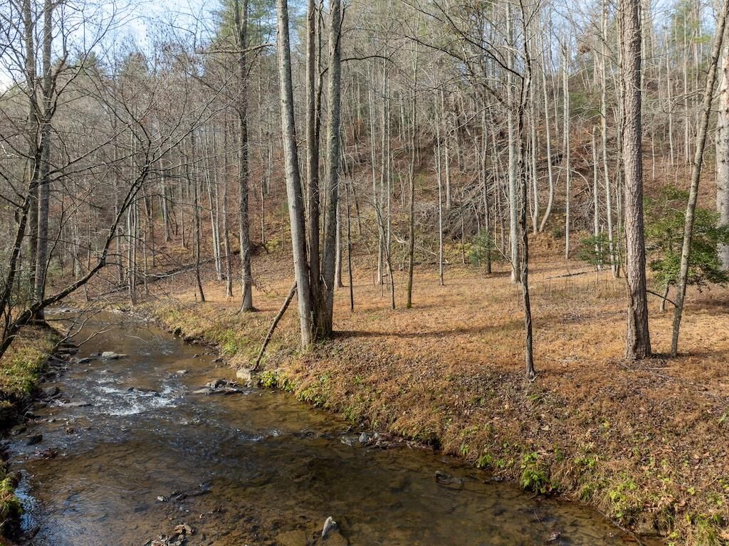 Property Photo:  780 Banks Road  GA 30540 