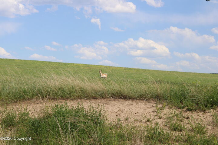 Property Photo: Tract 12 River Road WY 82720