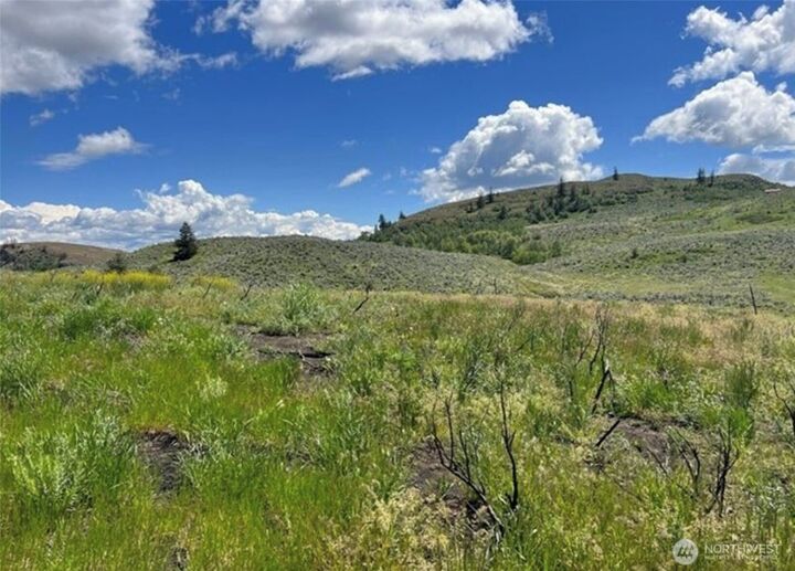 Property Photo:  0 Tbd  Ellemeham Mountain Road  WA 98844 