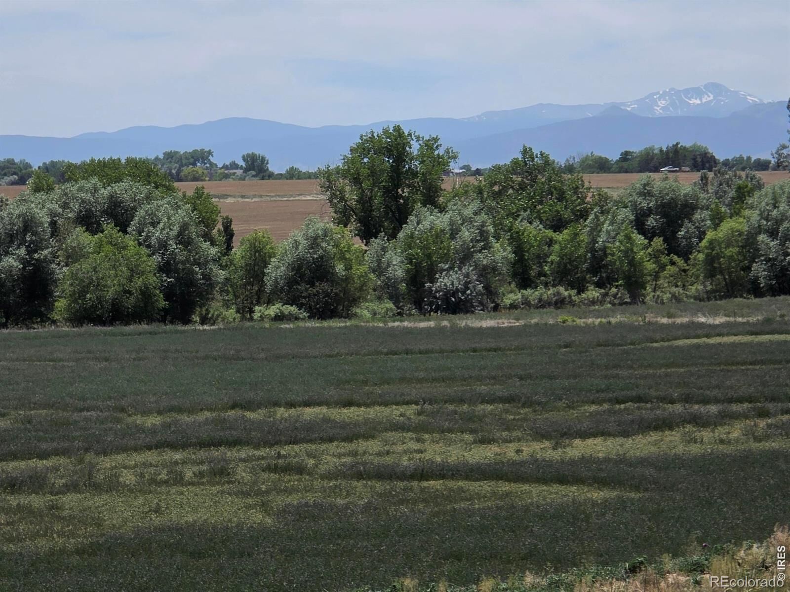 Property Photo:  20219 County Road 3  CO 80513 