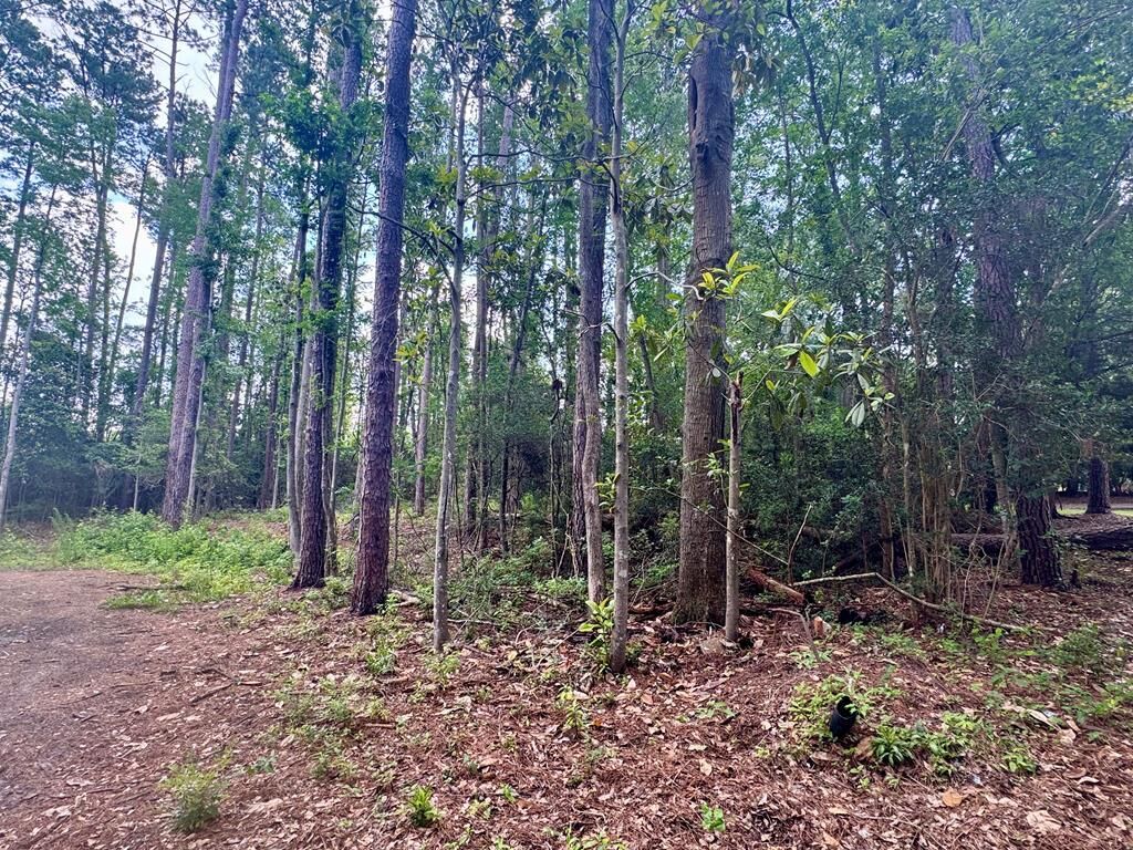 Property Photo:  1511 N Dawson St.  GA 31792 