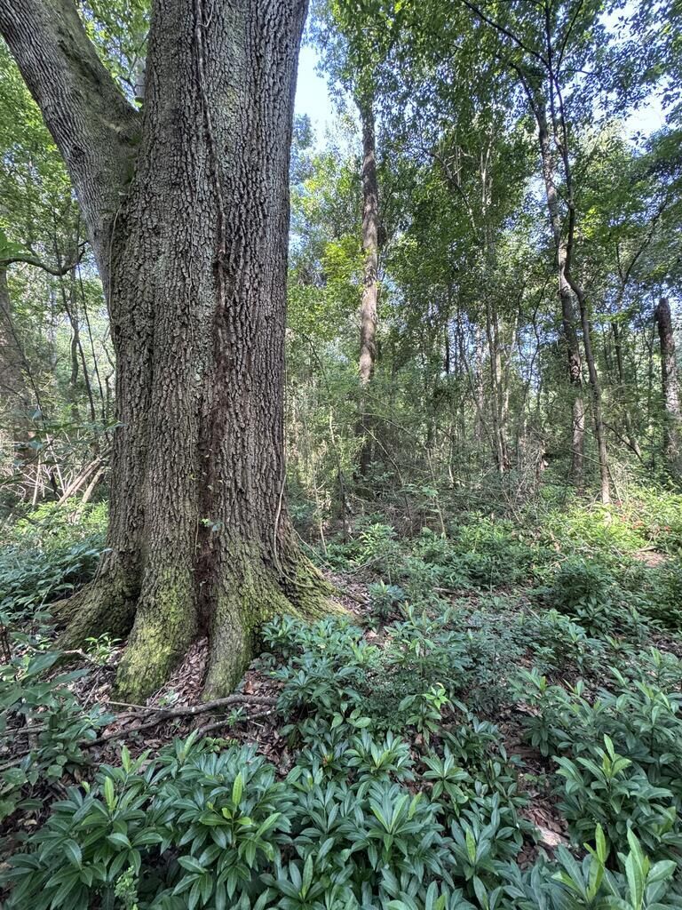 Property Photo:  1511 N Dawson St.  GA 31792 