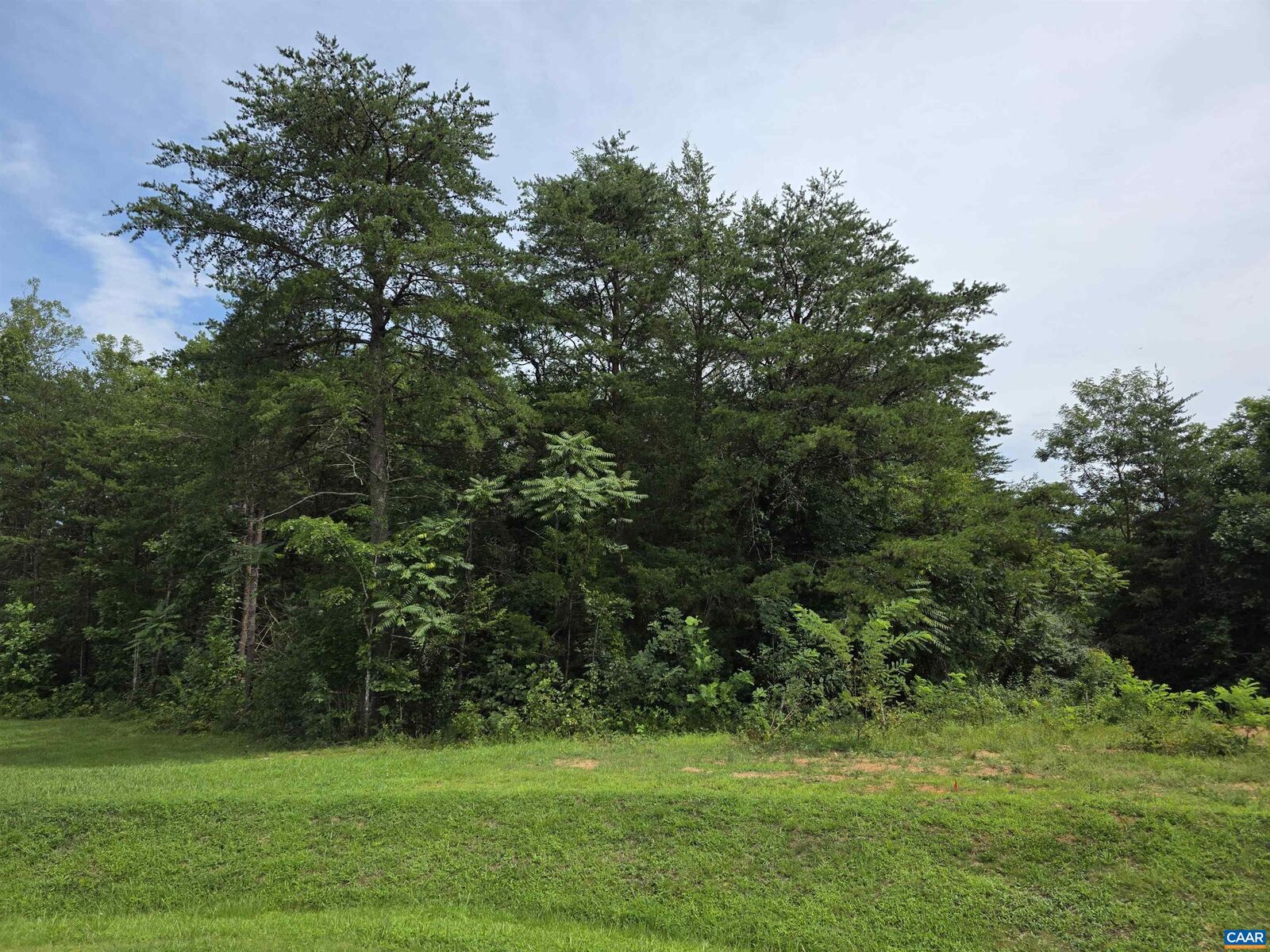 Property Photo:  Lot 12 Bartholomew Pl  VA 22973 