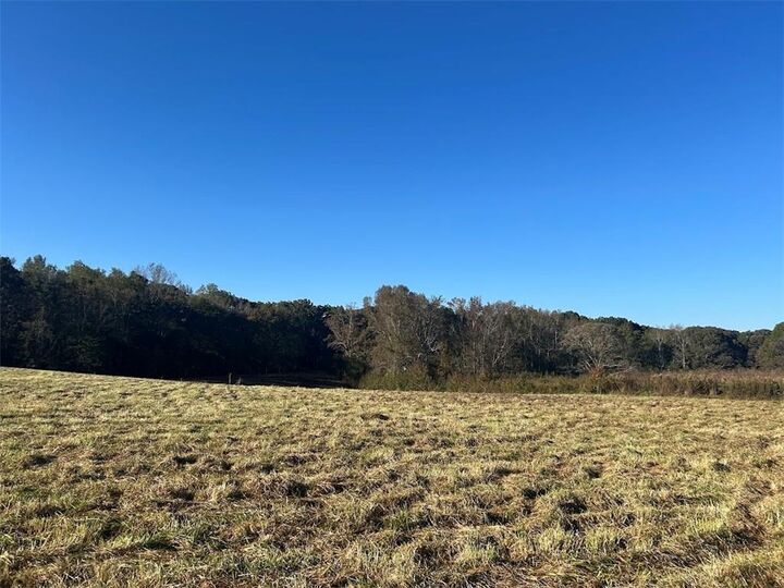 Property Photo:  0 Old Columbus Road  GA 30108 