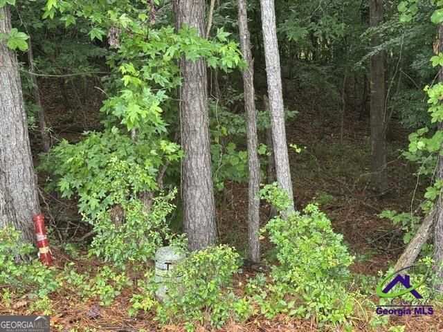 Property Photo:  176 Waters Pointe  GA 31052 