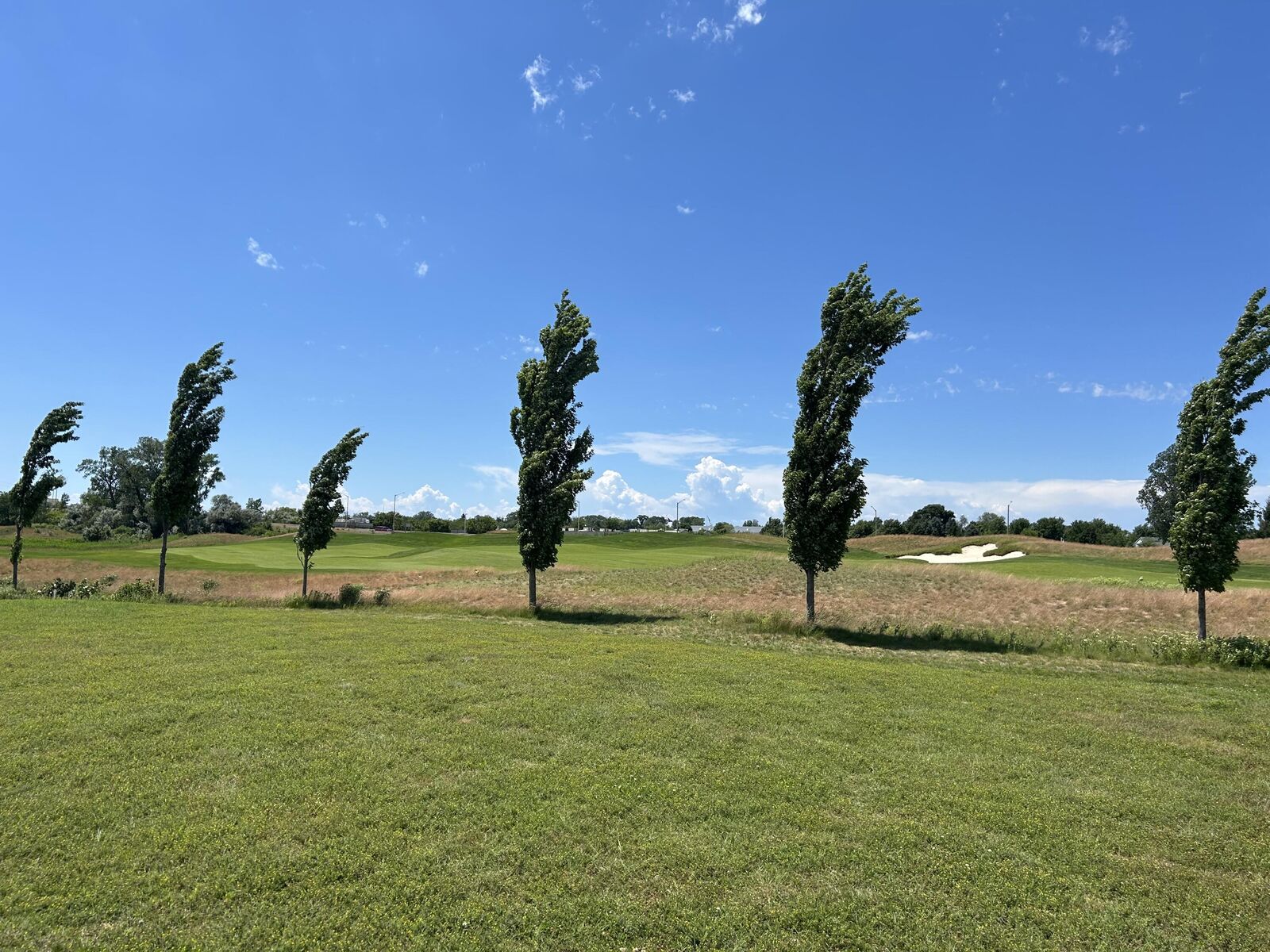 Property Photo: 420 Golden Bear Court MI 49085