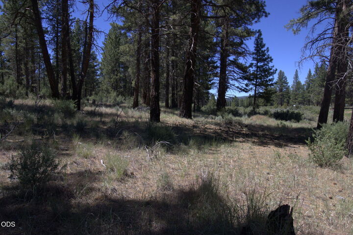 Property Photo: Pow Wow Lane Lot 15 OR 97639