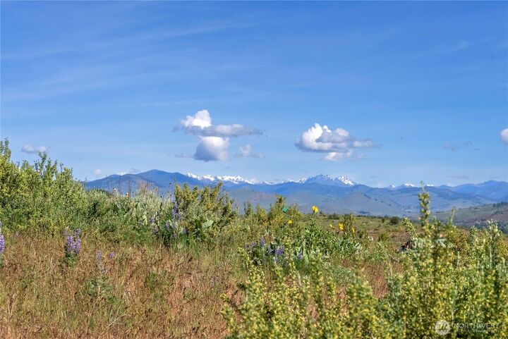 Property Photo:  29  Signal Hill Road  WA 98856 