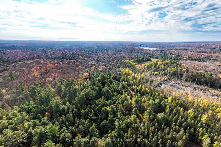 Property Photo:  267 &Amp 321 Cardwell Lake Road  ON P0B 1M0 
