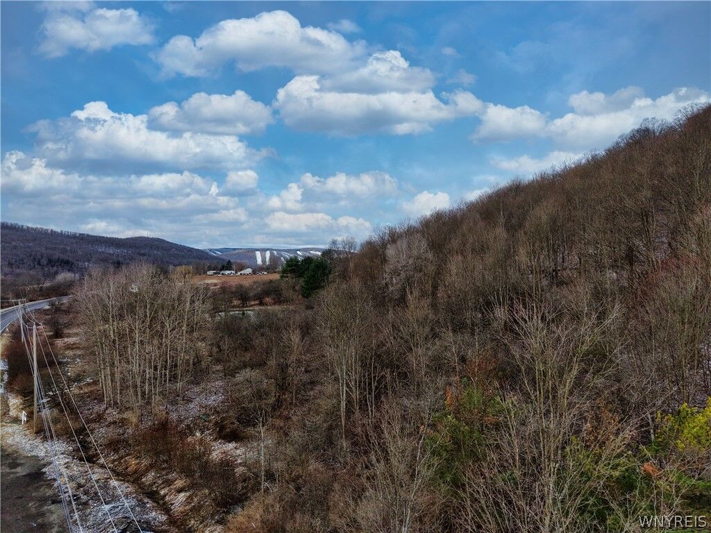 Property Photo: 6010 Nys Rte 242 Lot #6 NY 14731