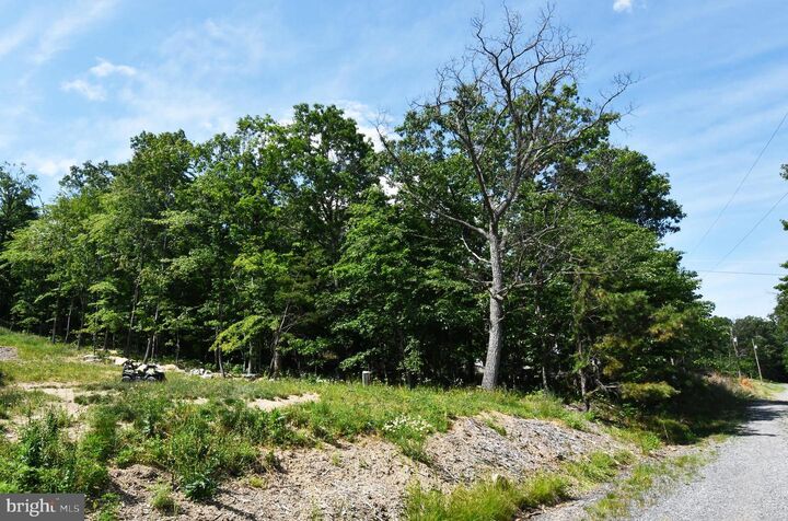 Property Photo: Lot 116 Arum Trail VA 22654