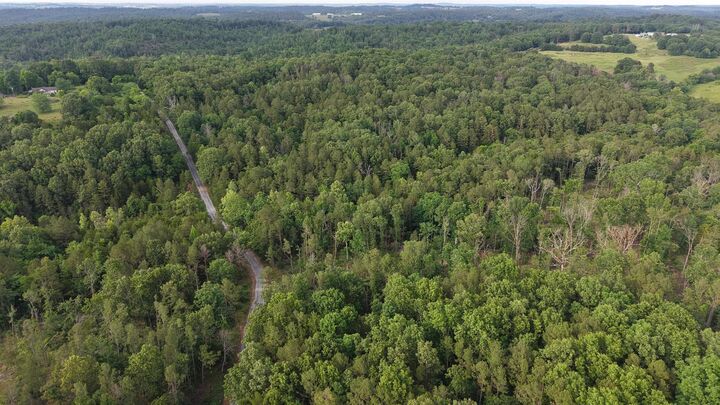Property Photo:  26A Kerley Point Road  AR 72531 