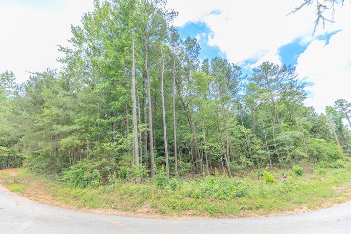 Property Photo: 0 Wallaceville Cemetery Road GA 30707