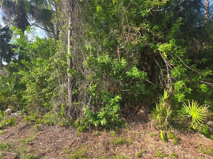 Property Photo: Pronto Lane FL 34286