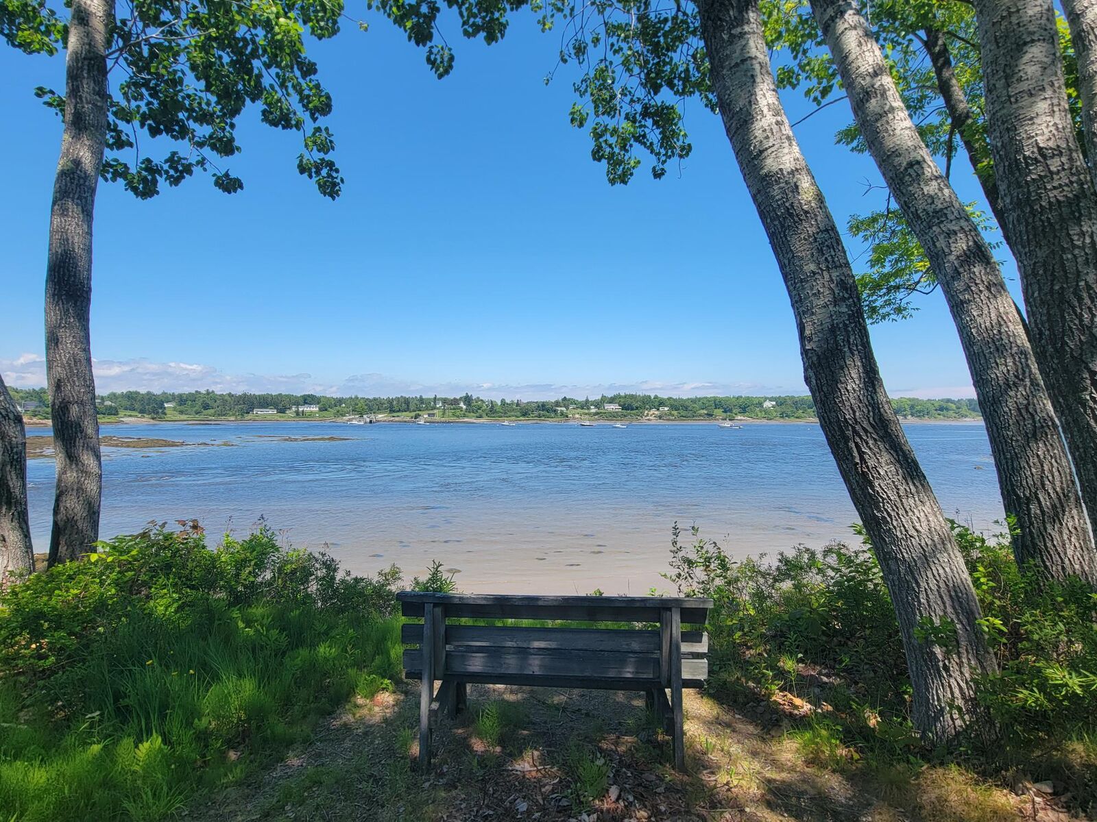Property Photo: 25 Bridge Street ME 04658