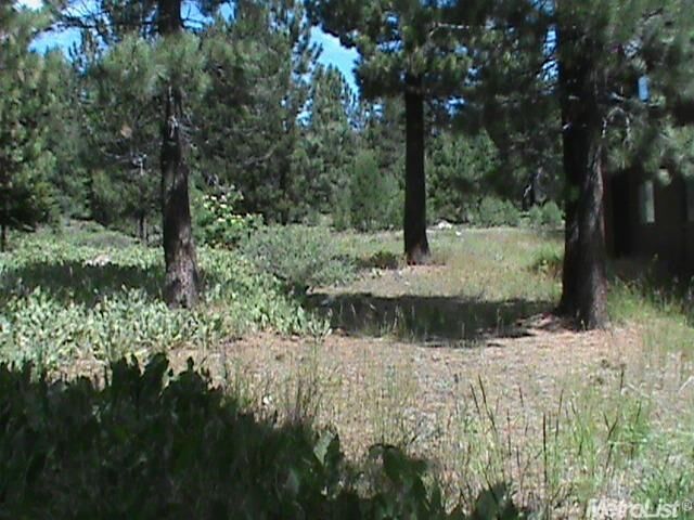 Property Photo:  16664 Skislope Way  CA 96161 
