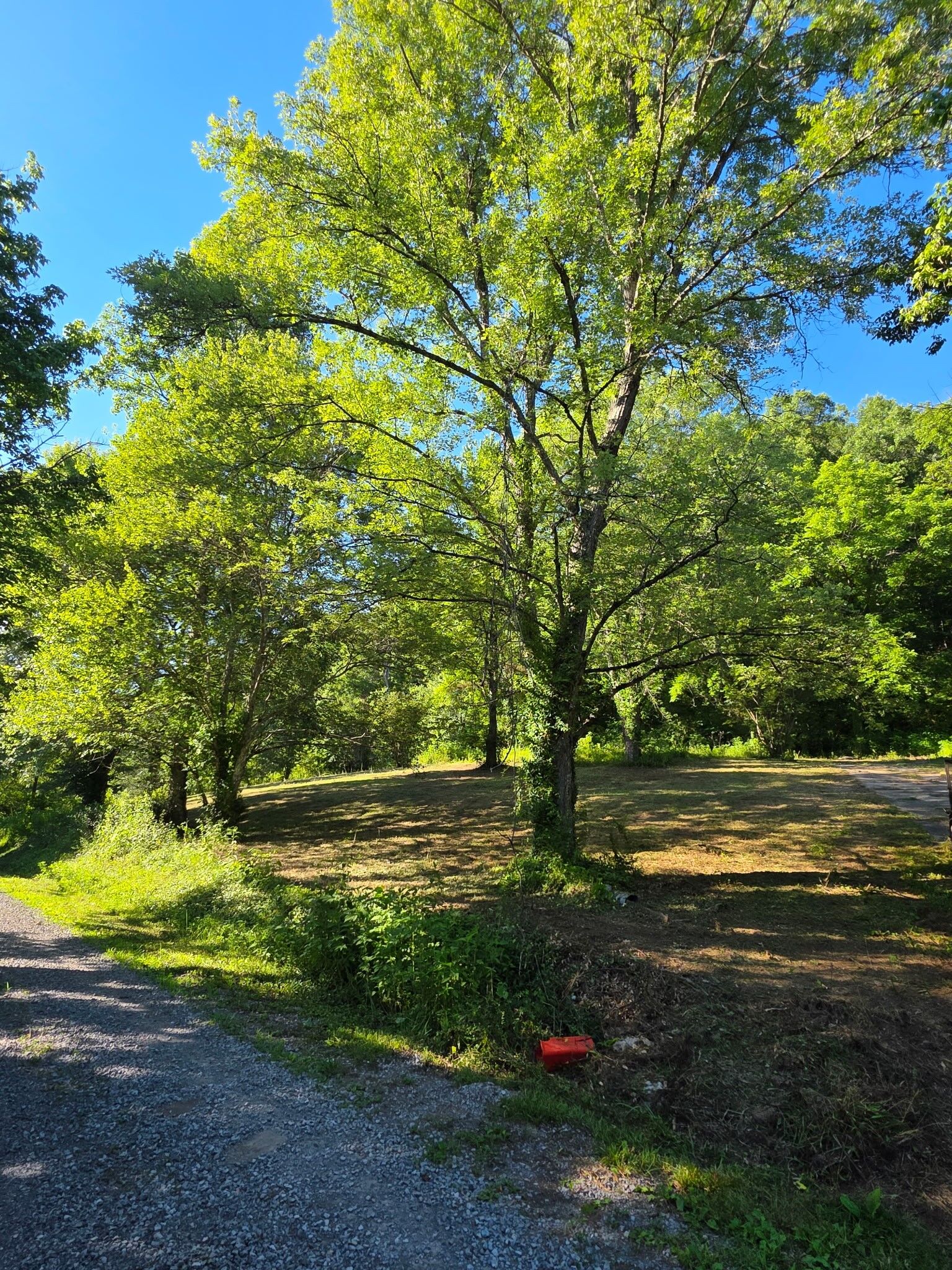 Property Photo:  2331 Gilley Hill Rd  TN 37026 