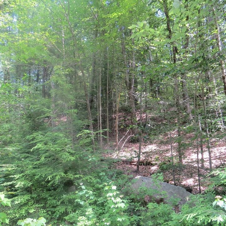 Property Photo:  Lot 1 Pratt Corner Road  MA 01054 