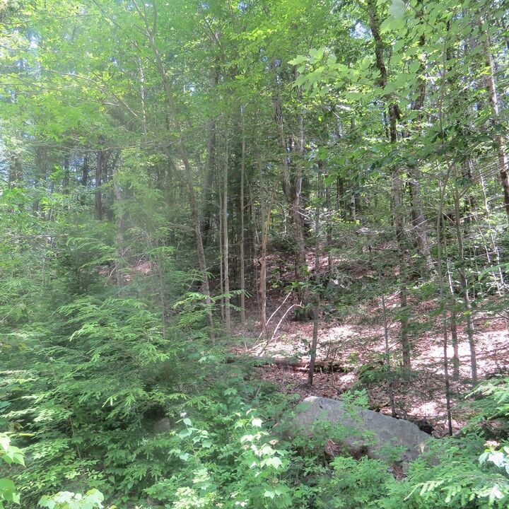 Property Photo:  Lot 1 Pratt Corner Road  MA 01054 