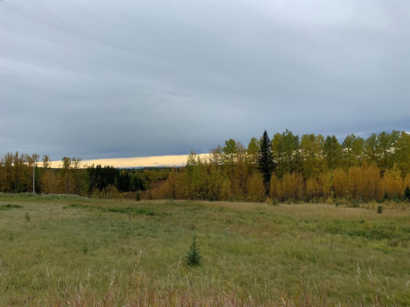 Property Photo:  Highway 16 And Range Road 184  AB T7E 3B4 