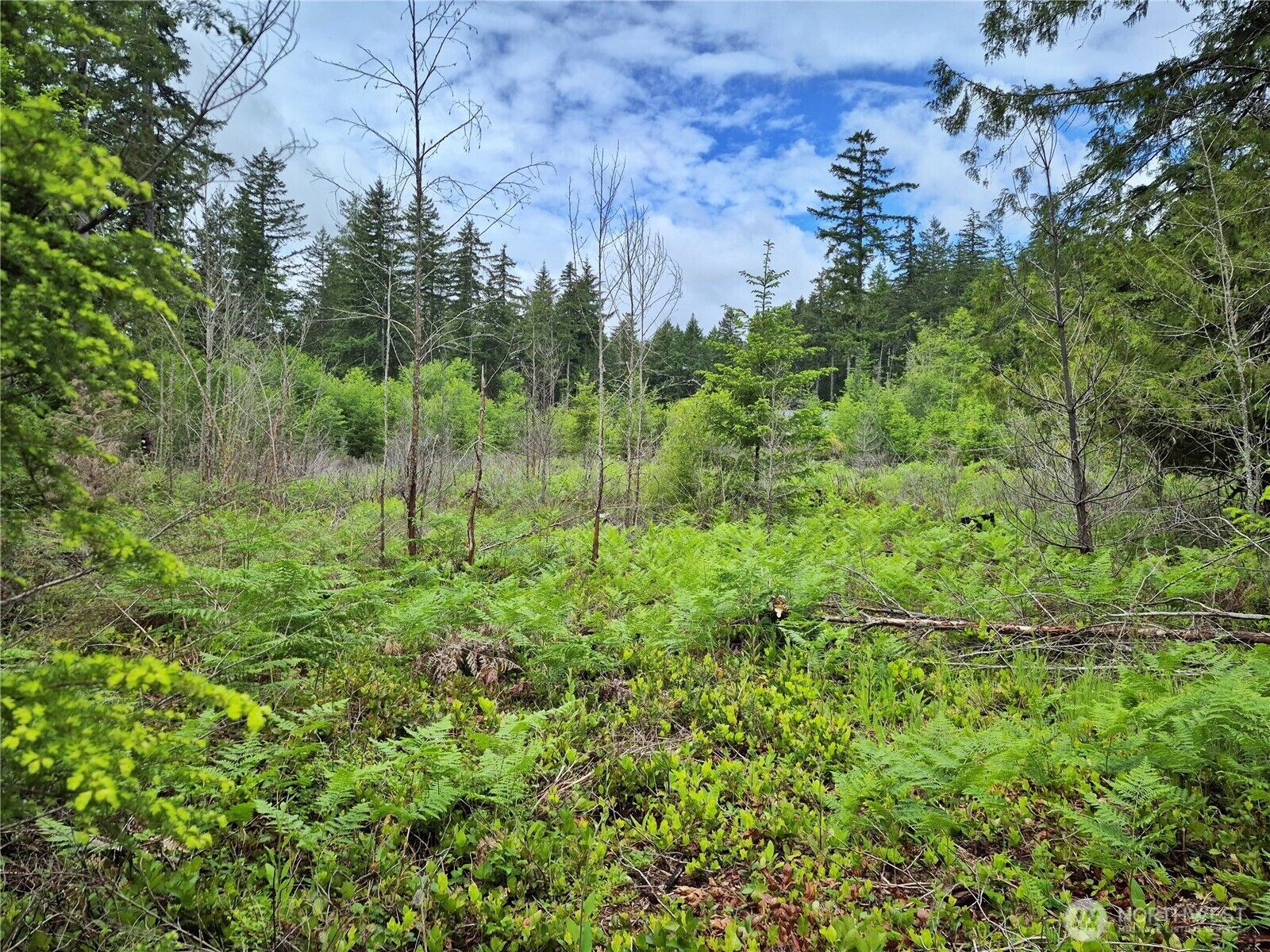 Property Photo: 7 W Wilderness Lane WA 98380